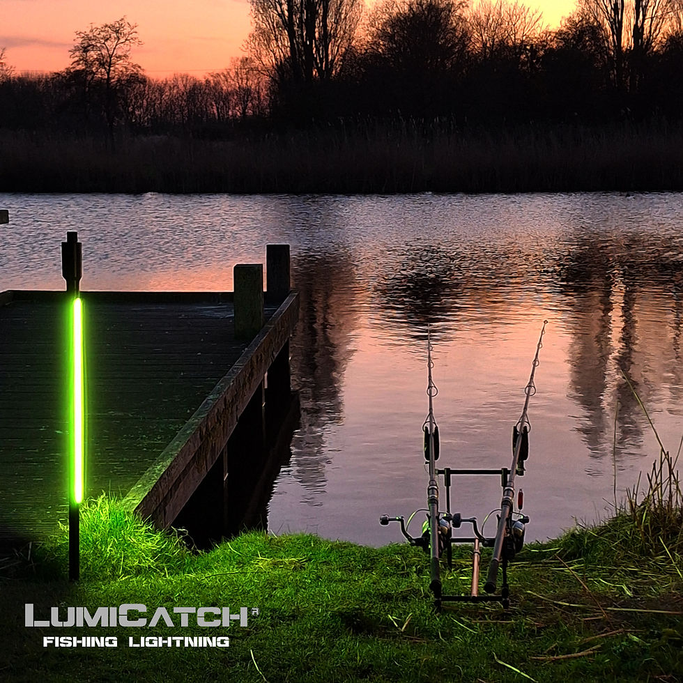 LumiCatch Support BuzzOff – Lumière extérieure anti-moustique. Ce modèle peut s'ajouter au Lumicatch Base.