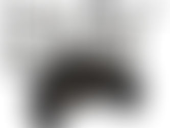 Chariot électrique Carp Porter Trident Power pour pêche de la carpe, structure robuste avec plateforme de chargement, grandes roues tout-terrain, batterie et chargeur inclus pour le transport du matériel.