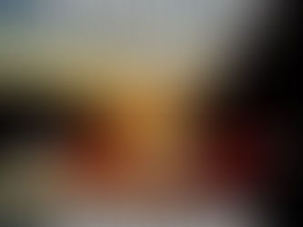 Animation pêche Forum Chasse et Pêche à Mâcon avec carpe, carnassier, truite et mouche, promotions et intervenants les 6 et 7 février 2026.