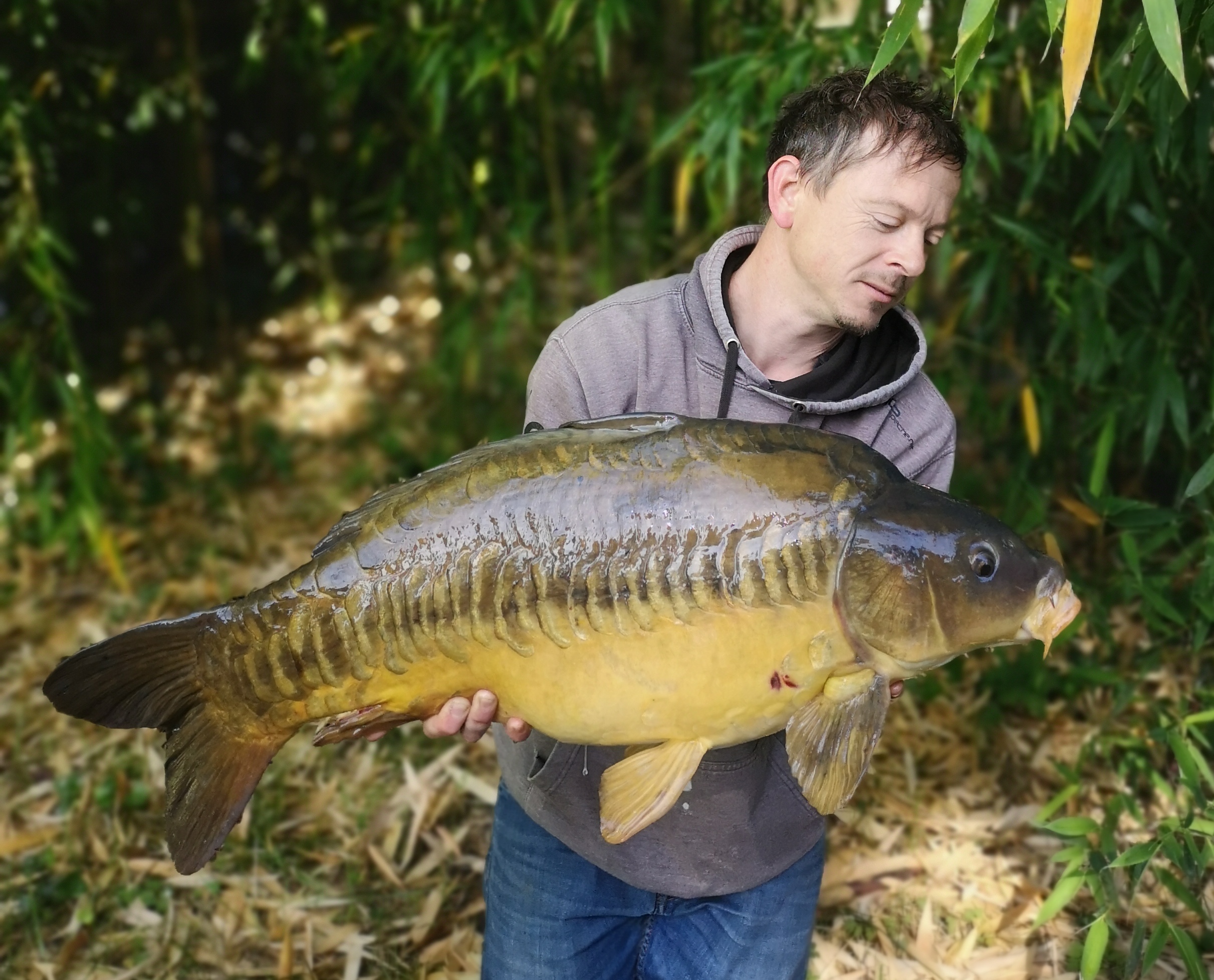 Photo du rédacteur: Pierre Blondel