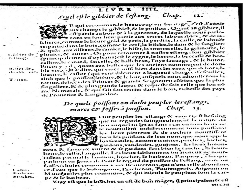 Charles Estienne, L'agriculture, et maison rustique (livre IV, chap 13) 1564. Domaine public