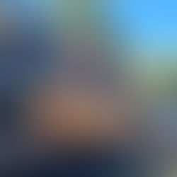 Carpe miroir capturée en rivière depuis un bateau cabine, pêche en navigation sur grand cours d’eau sauvage