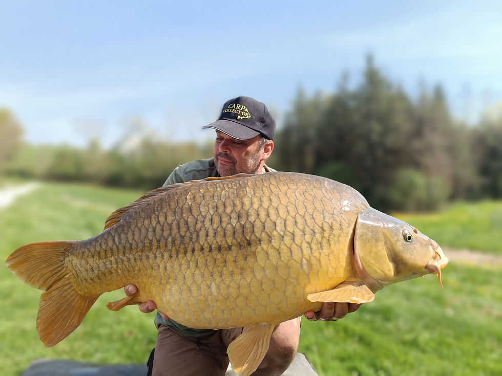 Une belle commune venue confirmer l’efficacité de la Bananut’s de Baiter’s, une bouillette conçue et roulée en France qui nous accompagne avec succès sur des eaux aux profils très différents.