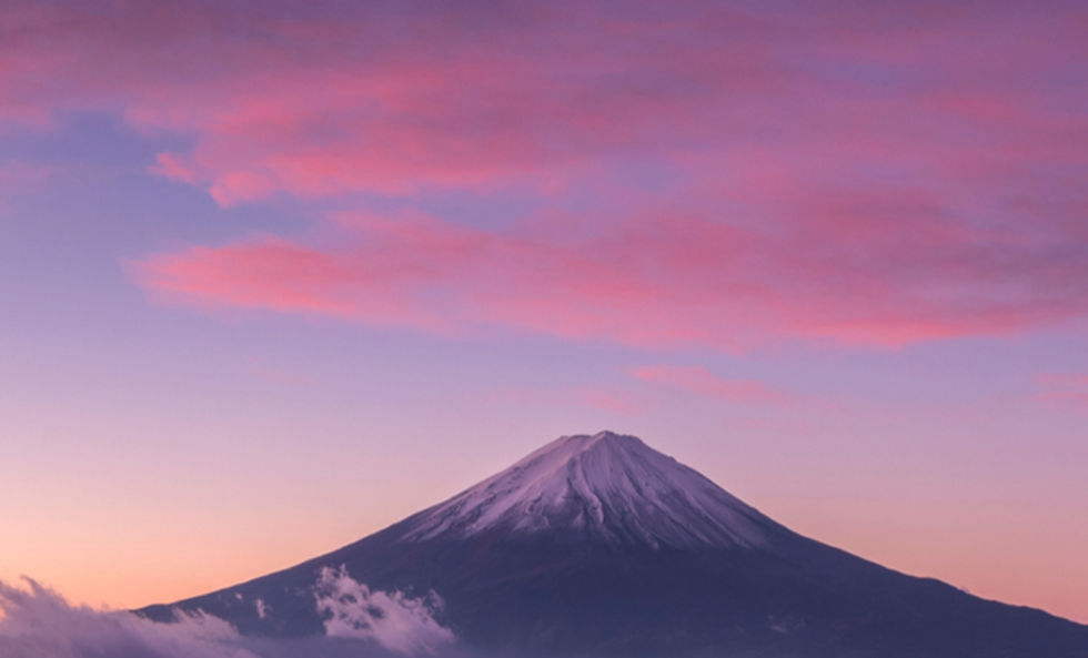 shutterstock_1596254083 SMALLER_edited.jpg