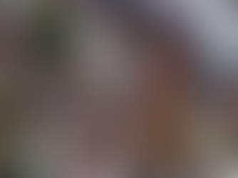 17/09/2025- Galo da Madrugada 2026: Celebrando com Consciência Ambiental