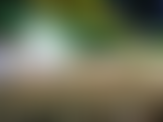 São João de Caruaru 2025: Confira a Programação de Sábado (31) e Domingo (1º)