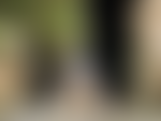 20/12/2025- Recife celebra o Natal com carreata de caminhões de lixo iluminados