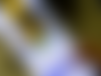 21/01/2026-Prova de Vida 2026: Mais de 106 mil aposentados e pensionistas de Pernambuco devem realizar comprovação