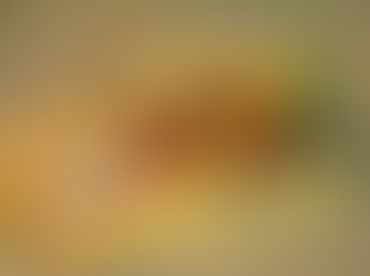 Casa de Déia Petiscos é a Grande Vencedora do Comida di Buteco 2025 em Pernambuco