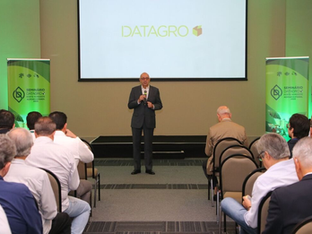 17/08/2025- Brasil Amplia Domínio no Fornecimento Mundial de Açúcar em 2025