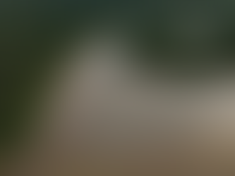16/08/2026- Petrobras identifica presença de hidrocarbonetos em poço na Foz do Amazonas
