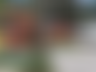 Terminal PE-15 em Olinda: Alterações nos Embarques de Ônibus