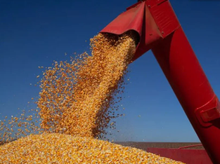 21/12/2025- Ferrovia Transnordestina inicia testes e promete revolucionar o escoamento de grãos no Brasil