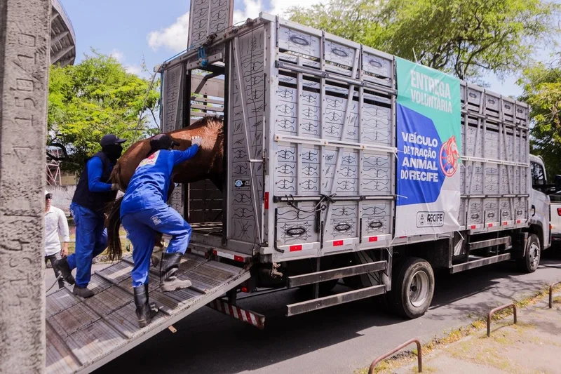 Cadastramento é obrigatório para ter direito a indenização, no caso de entrega voluntária dos animais, e acessar demais benefícios do programa - VANESSA ALCÂNTARA/PCR