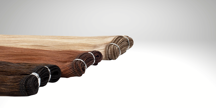 WEFT.png