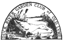logo-black-trans.png