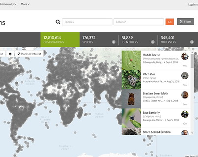 workshop_inaturalist_1.png