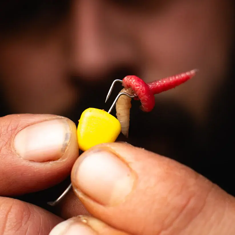 Thumbnail: Carp Baits