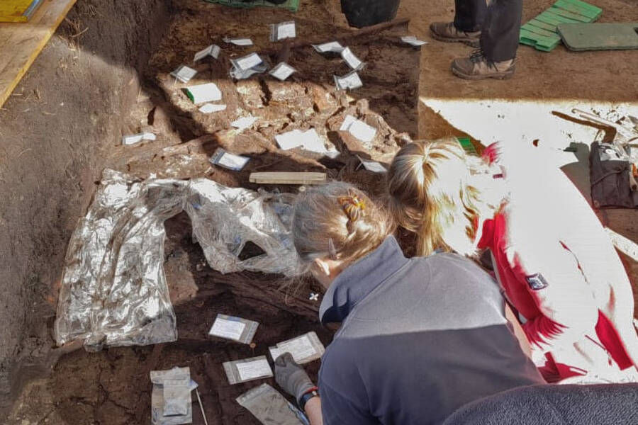 Archaeologists have been excavating the site in Germany for around 100 years