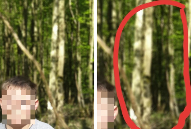 Ghosts in Dering Woods
