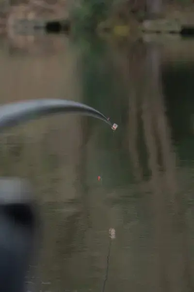 Thumbnail: Maver Poles