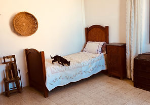 IMG_2998.jpeg