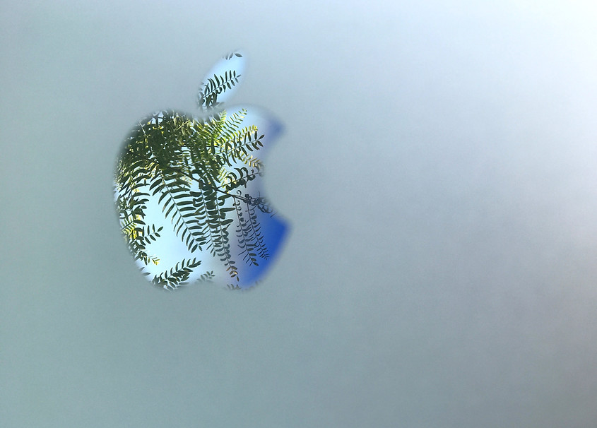 Apple logo on a Macbook reflecting the leaves and branches of a tree