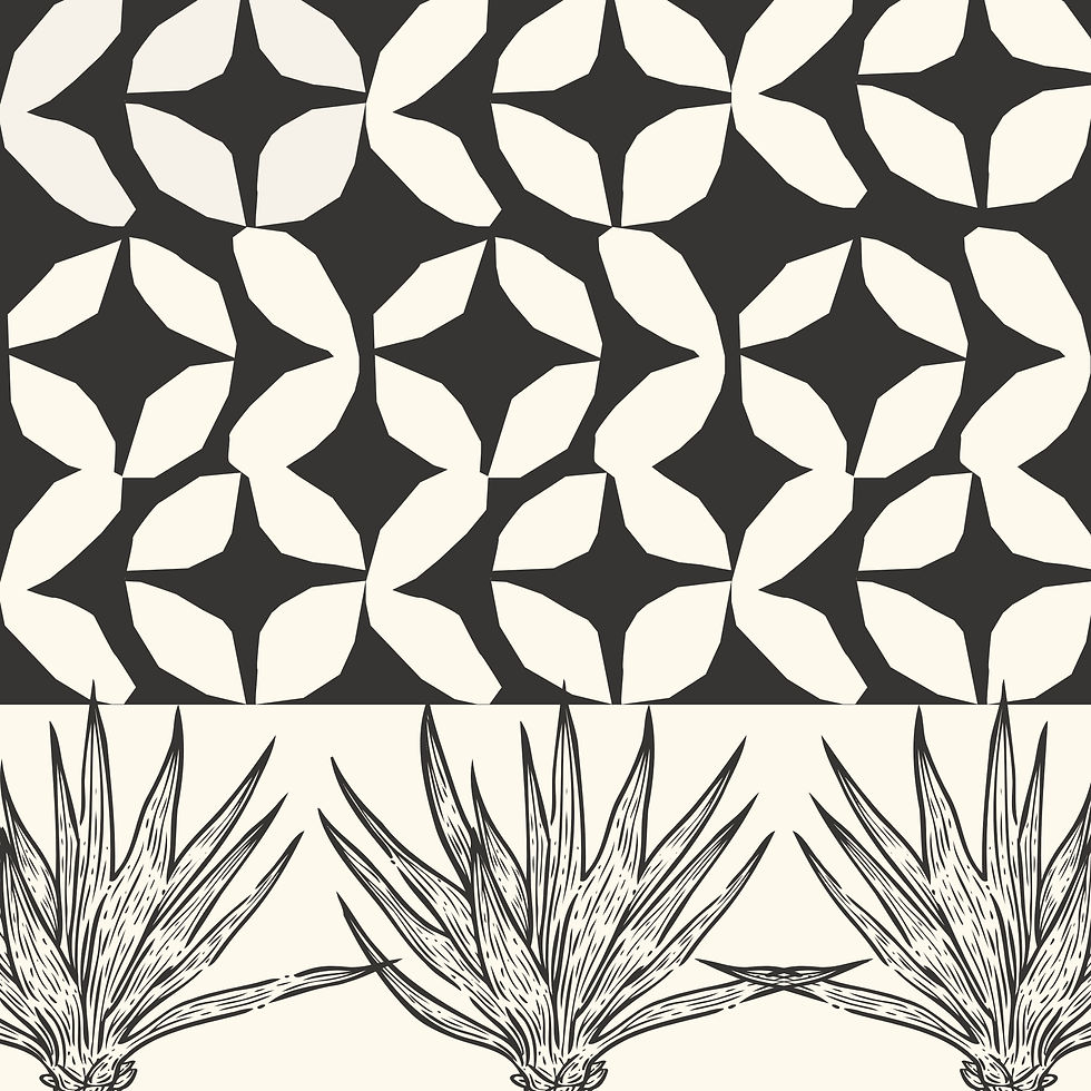 Thumbnail: agave stars #2