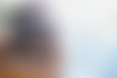 Instagramáveis: os melhores lugares para tirar fotos em SP