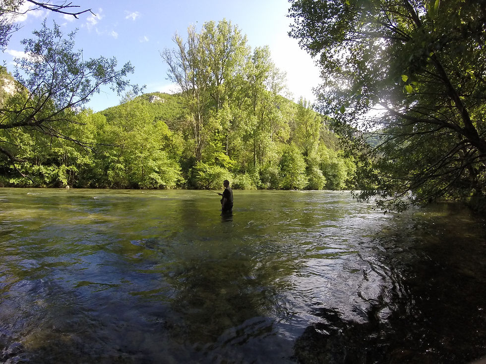 apprentissage de la nymphe pour Sebastien qui touchera quelques poissons!