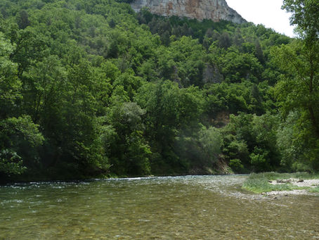 Retour sur une sortie aux appâts naturels.