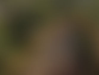 ¿Cómo es posible que sobreviviesen las plantas a las mutaciones de Chernobyl?