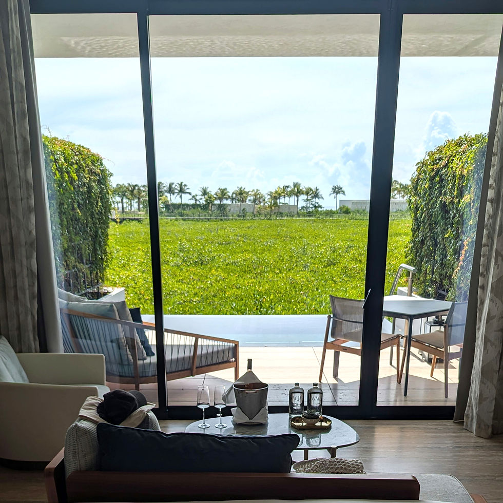 Grand Luxe Room with a Private Plunge Pool at The St Regis Kanai Resort, Riviera Maya
