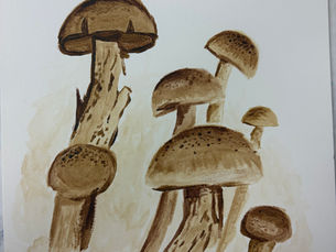 Acrylic Grisaille Mushrooms