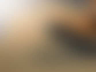 Vote first, research second? Understanding Tariffs