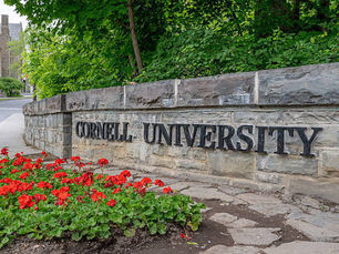Cornell University faces backlash following lawsuit over neglected rape allegations