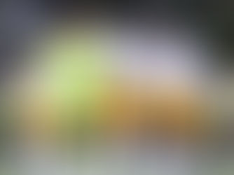 Men’s soccer falls short in Battle of the Bridge