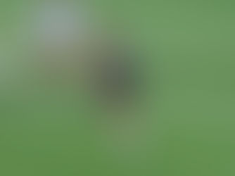 Canisius unable to come back after falling behind against Queens