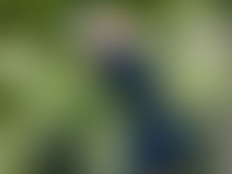 Golf Duo Receives All-MAAC Honors At Championship