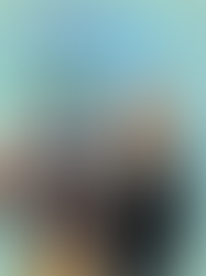 Meet News: The Spirit of The Griffin 