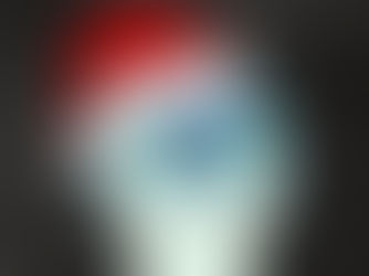 Deck the Halls with Greenery: A Guide to Festive Sustainability this Christmas