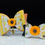 Thumbnail: Bloomin' Bees Pupband