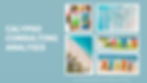 CALYPSO CONSULTING ANALYSIS with Calypso drinks and beach scenes