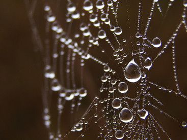Avoiding Being Trapped by Cliches