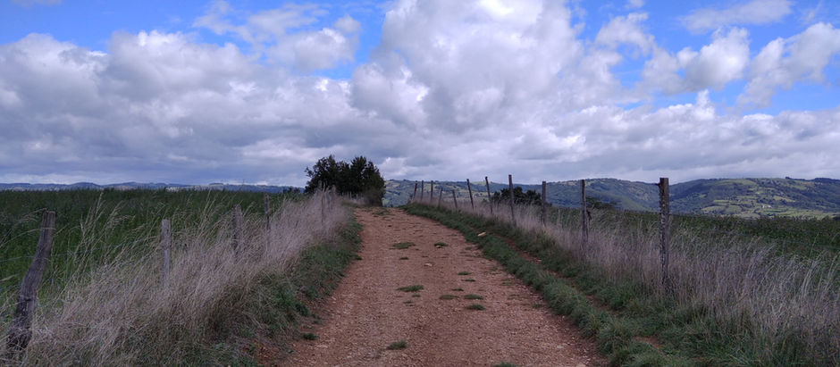 Chemin à travers champ