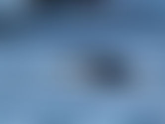 Whale Watching with the Aquarium of the Pacific in Long Beach