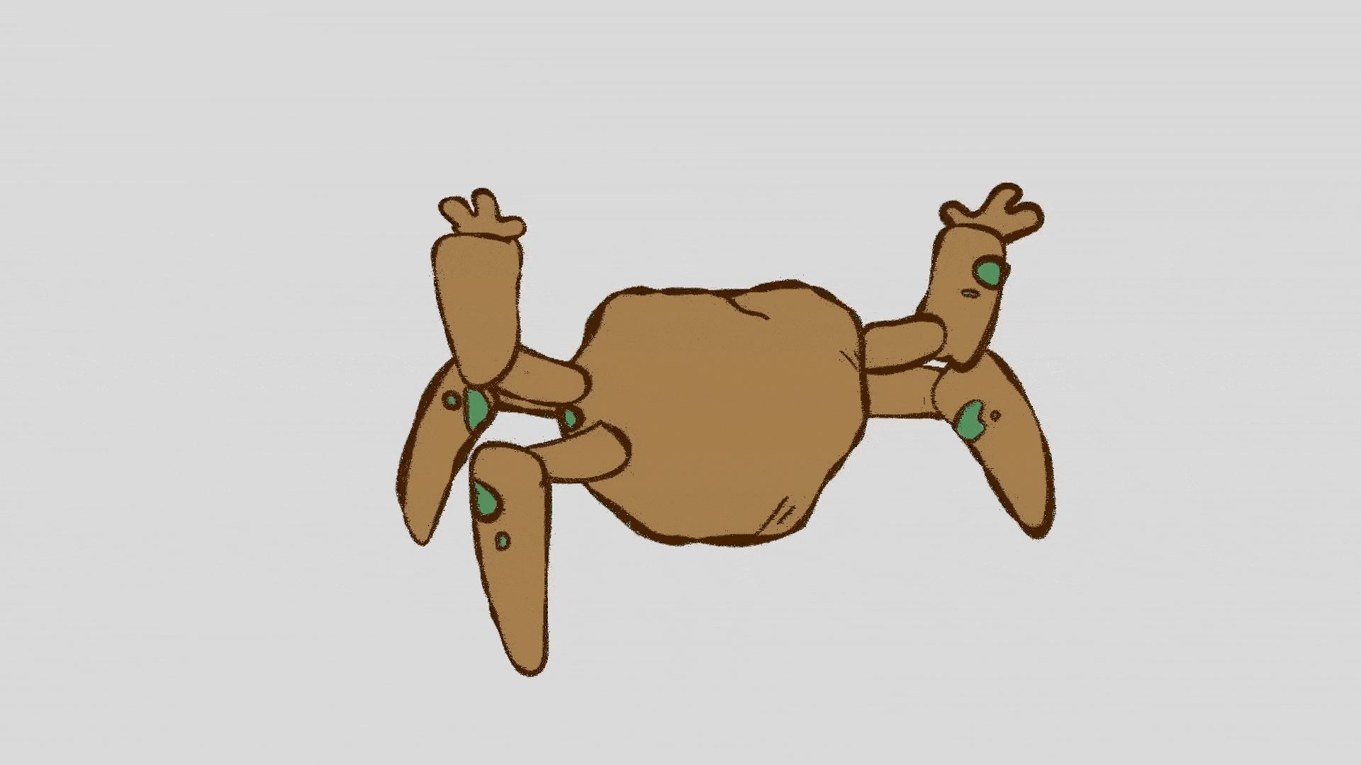 Rocky Stickbug.gif