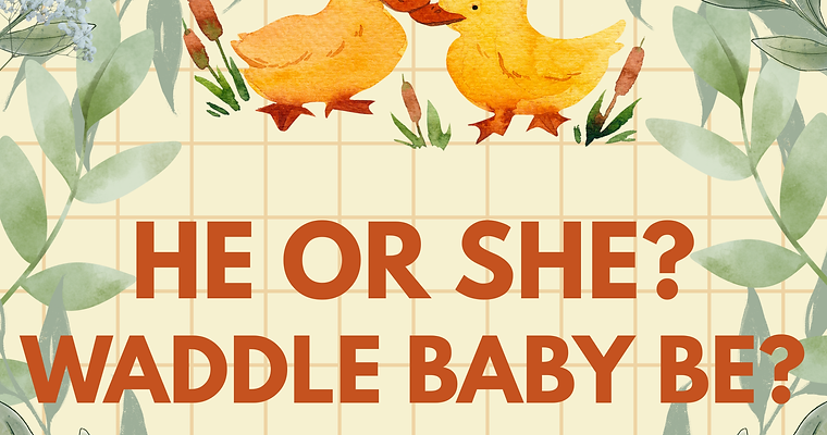 HE OR SHE.png