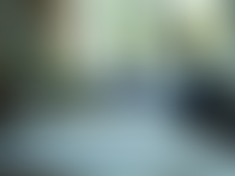 Behind the Scenes: A Day in the Life of an Indian Statistical Service Officer