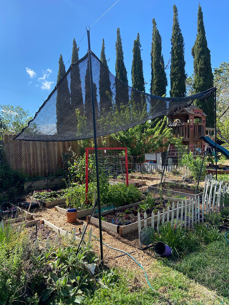 Quick And Cheap DIY Backyard Shade Cover For The Gardenhttps static quick-and-cheap-diy-backyard-shade-cover-for-the-gardenhttps-static